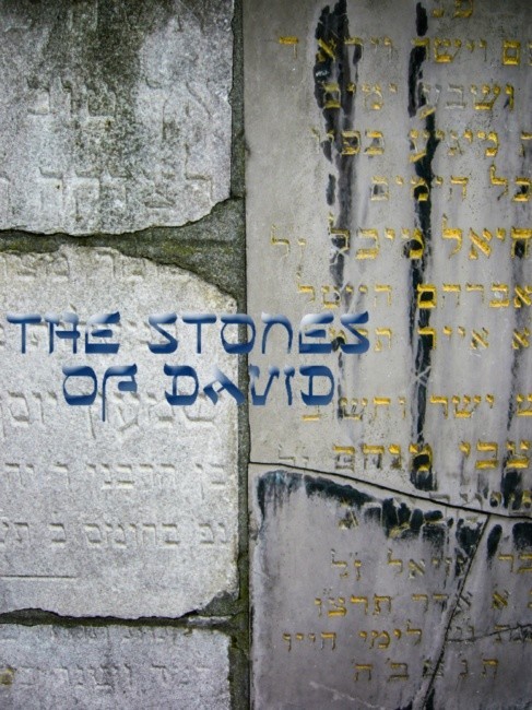 The  Stones of David